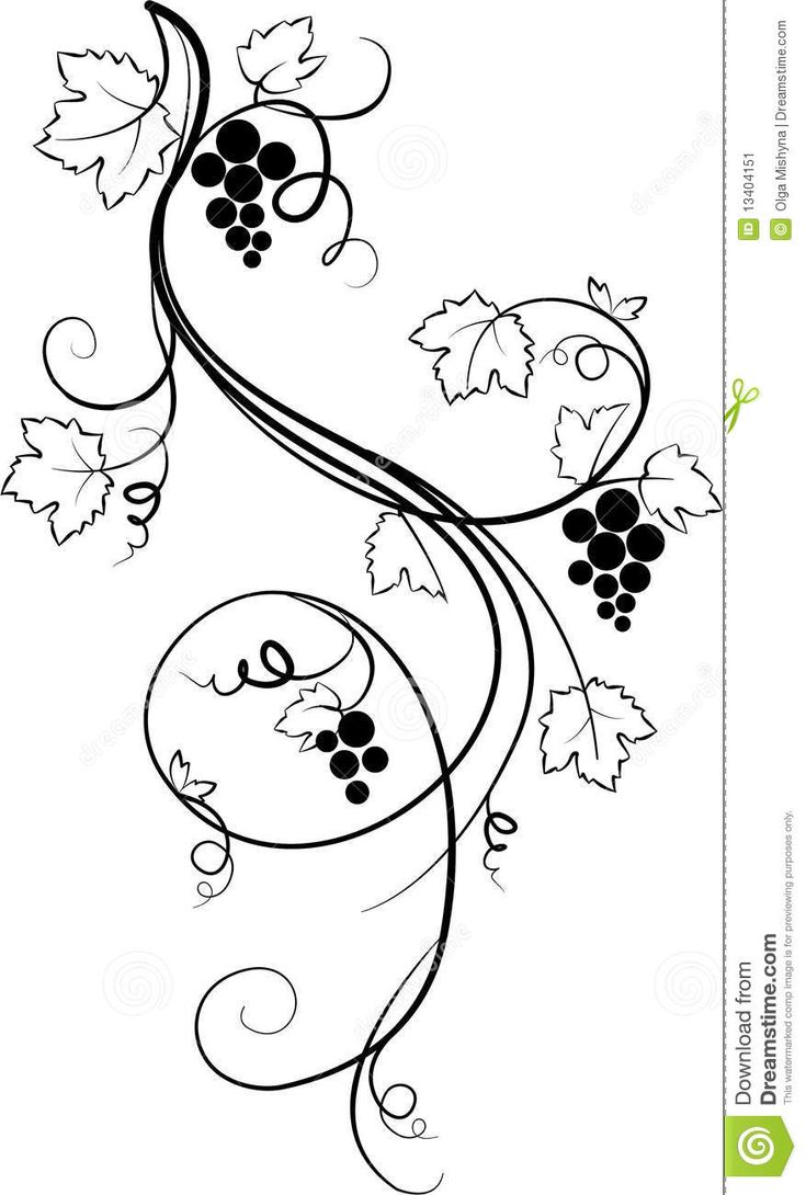 black and white drawing of grapes on vine with swirly vines in the center, surrounded by leaves