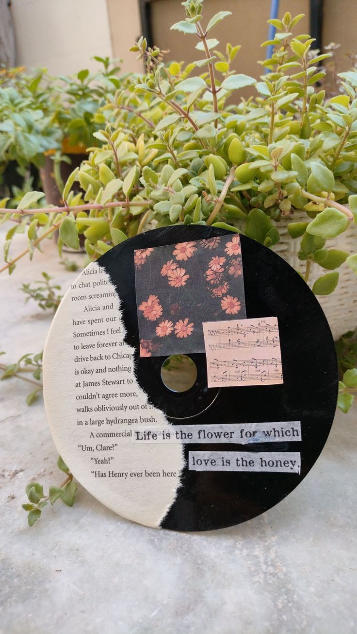 a black and white disc with flowers on it sitting next to some plants in pots