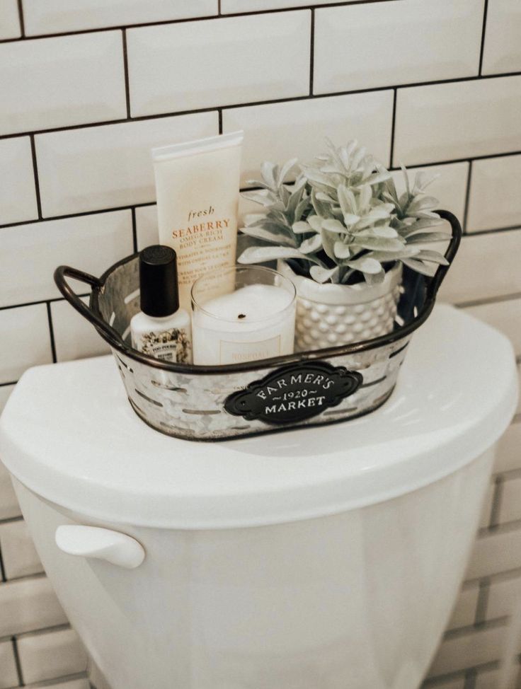 a white toilet sitting next to a wall with a potted plant on top of it