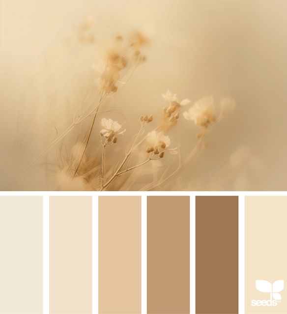 the color scheme is beige and brown, with some white flowers in it's center