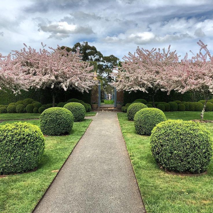 a walkway in the middle of some bushes and trees with pink flowers on them,