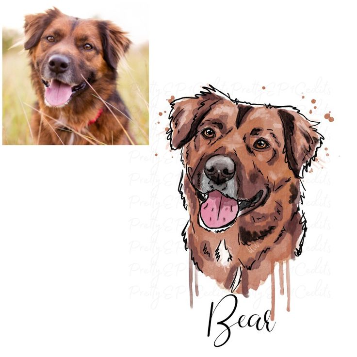 a drawing of a dog's face with the word bead below it and an image of a dog's head