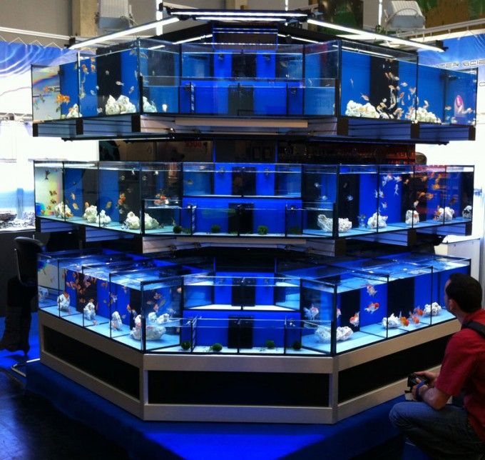 a man sitting in front of a fish tank filled with lots of different types of aquariums