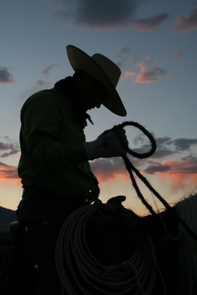 a man riding on the back of a horse with a lasso in his hand