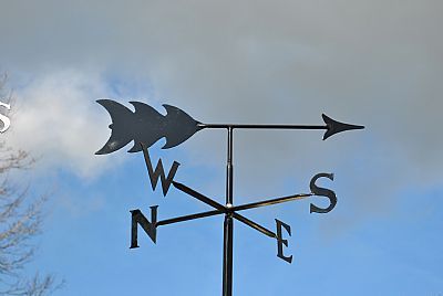 a weather vane on top of a building with an arrow pointing to the word w s