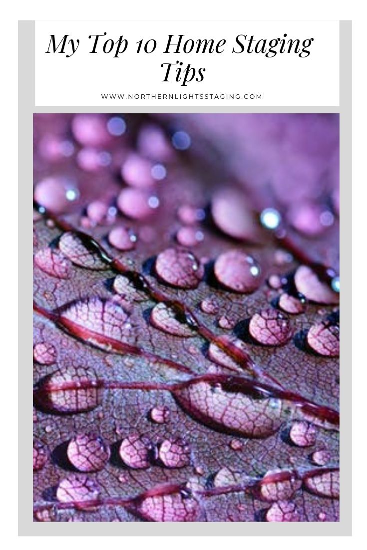 water droplets on a purple leaf with a quote