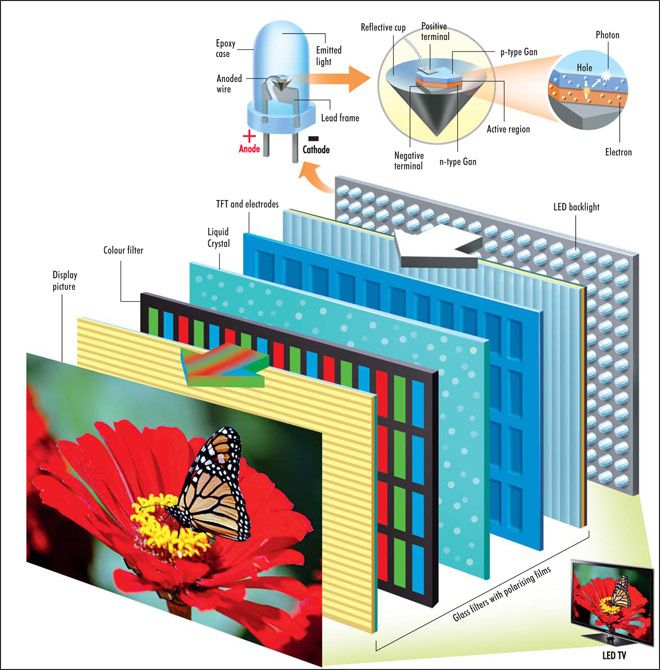 an image of the inside of a building with pictures and diagrams on it, including a butterfly