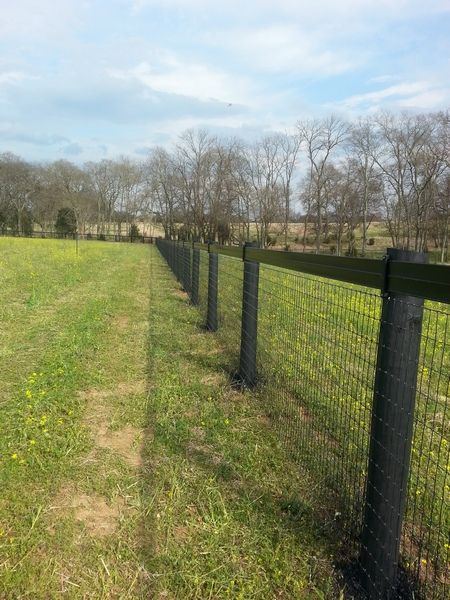 a grassy field next to a fence with trees in the background