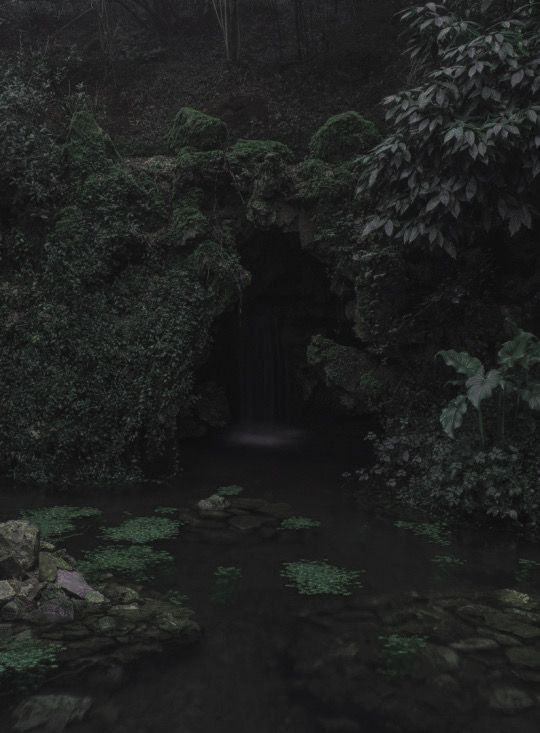 a small waterfall in the middle of a forest