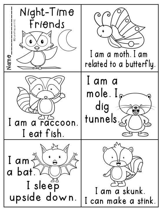 worksheet for beginning and ending sounds in the night time with pictures on it