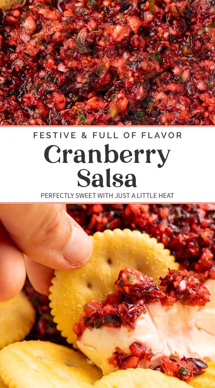 cranberry salsa is an easy and delicious appetizer that everyone will love