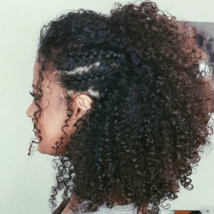 the back of a woman's head with long curly hair and an afro braid