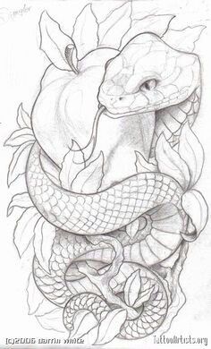 a pencil drawing of a snake and apple on top of each other, with leaves around it