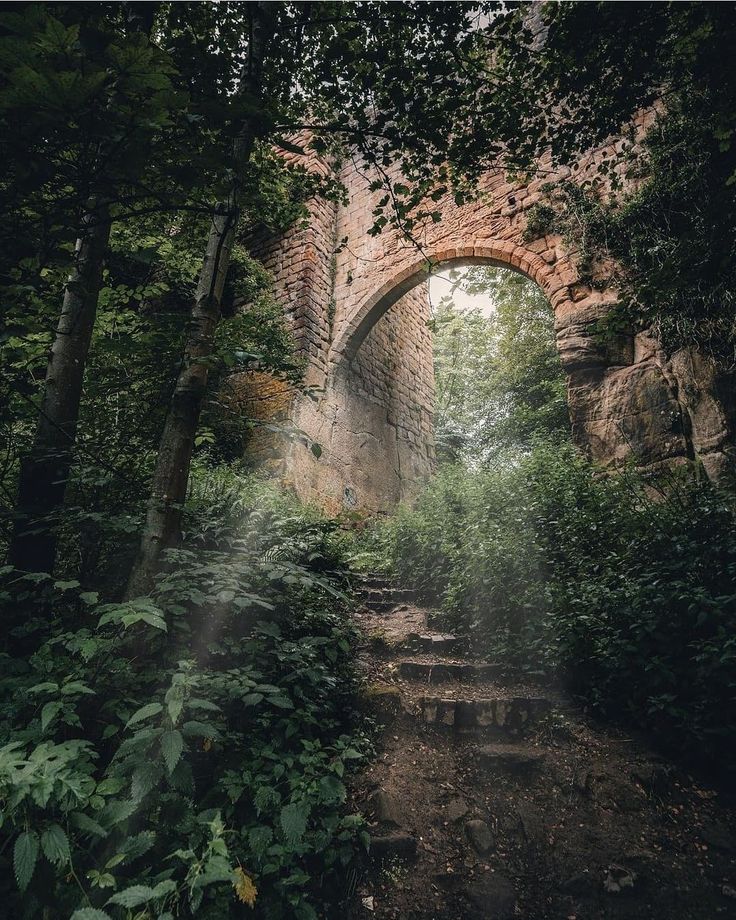 an arch in the middle of a forest filled with trees