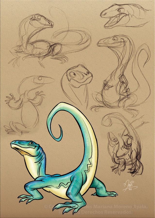 a drawing of an iguado with many different poses