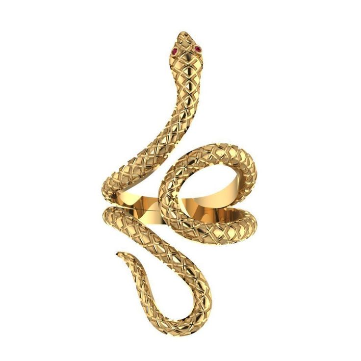 amanda jaron amy siewe snake ring python adjustable ring Snake Jewellery, Clothes Painting, Evening Eye Makeup, Burmese Python, Florida Everglades, Serpent Jewelry, Everglades Florida, Burmese Ruby, Python Snake