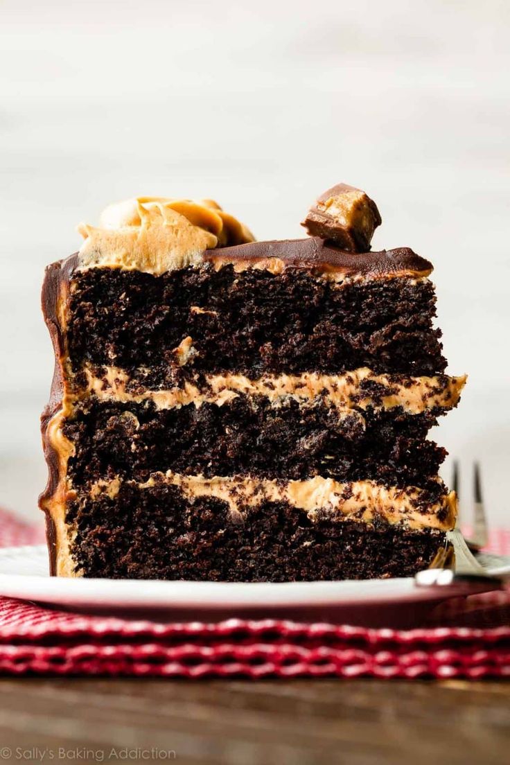 a slice of chocolate cake on a white plate