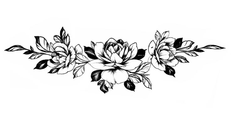 a black and white drawing of flowers with leaves on the bottom half of each flower