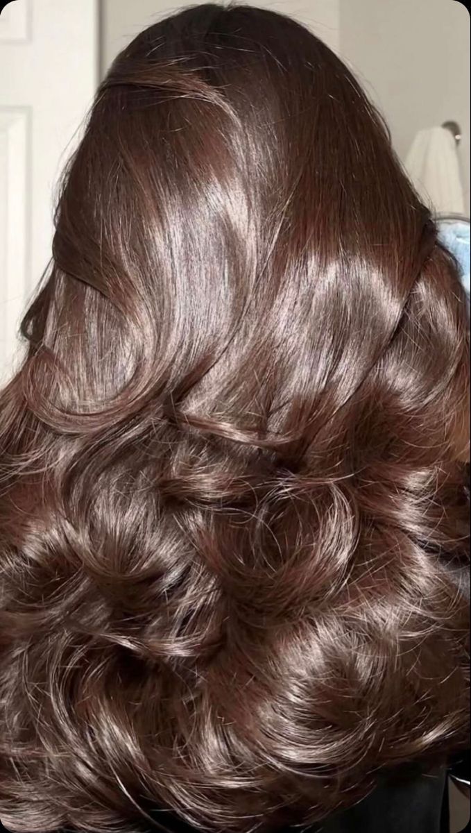 Brunette Blowout Hair, Glossed Hair, Silky Hair Tips, Brunette Blowout, Vision Board Hair, Shiny Hair Mask, Aesthetics Brown, It Girl Hair, Shiny Hair Tips