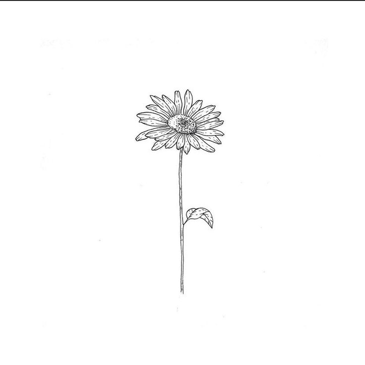 a drawing of a sunflower on a white background