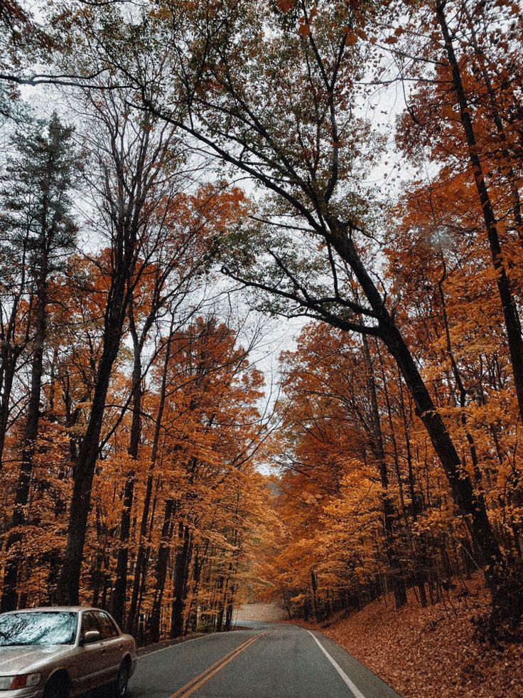 a car is driving down the road in front of trees with orange leaves on it