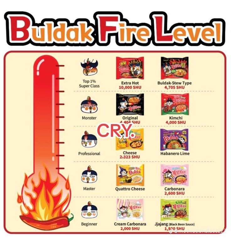 a thermometer with pictures of different foods on it and text that reads build fire level