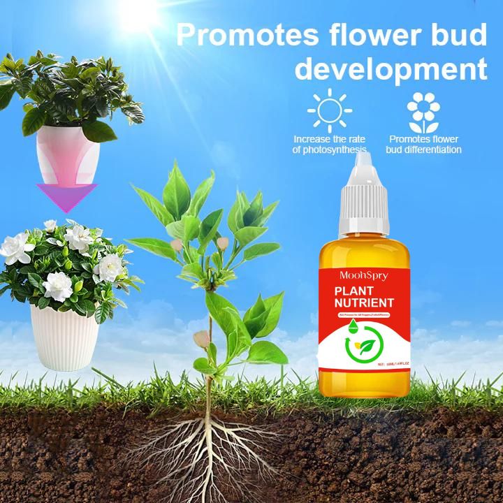 an advertisement with flowers and plants on the side of a dirt road, in front of blue sky