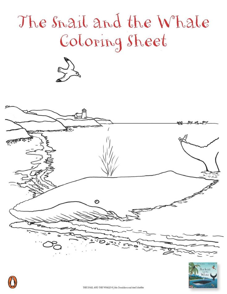 an adult coloring book with the title'the snail and the whale coloring sheet '