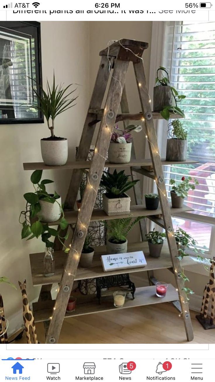 an old ladder is used as a shelf for potted plants in the living room