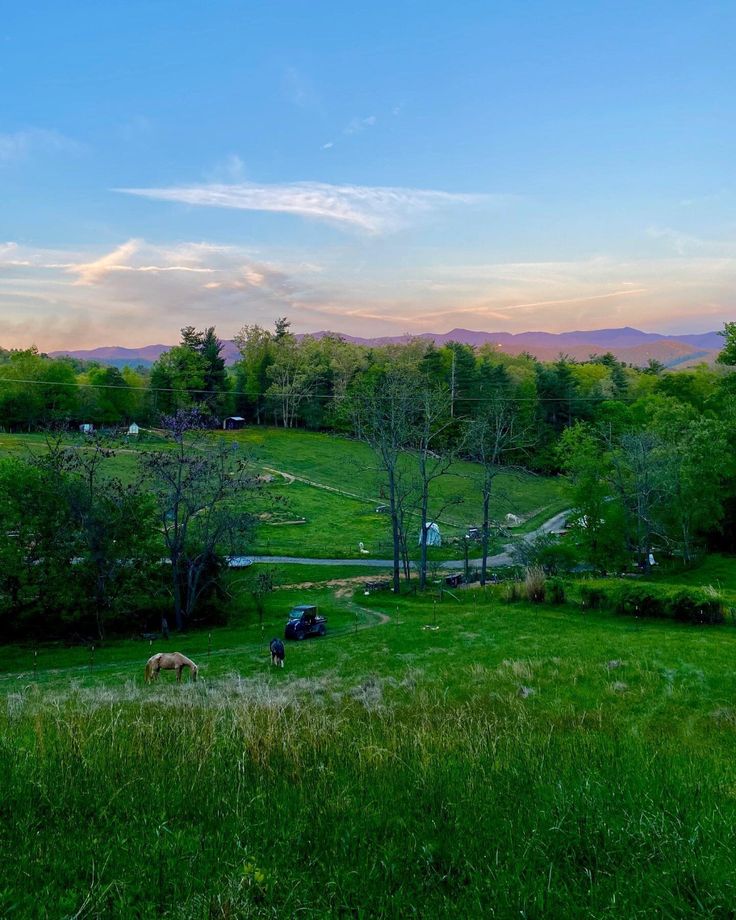 two horses grazing in a field with mountains in the background