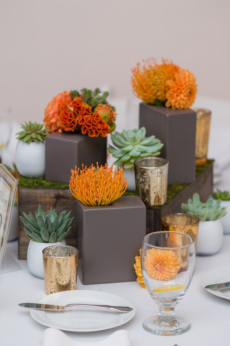 there are many succulents in small pots on the table with place settings