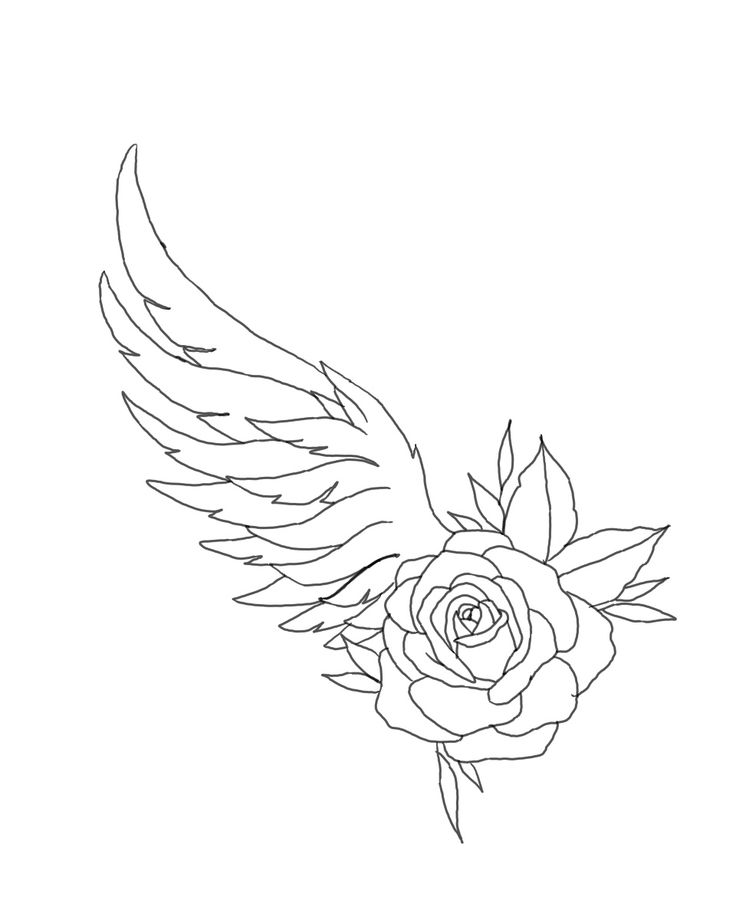 a rose with wings is shown in the shape of an angel's wing on a white background