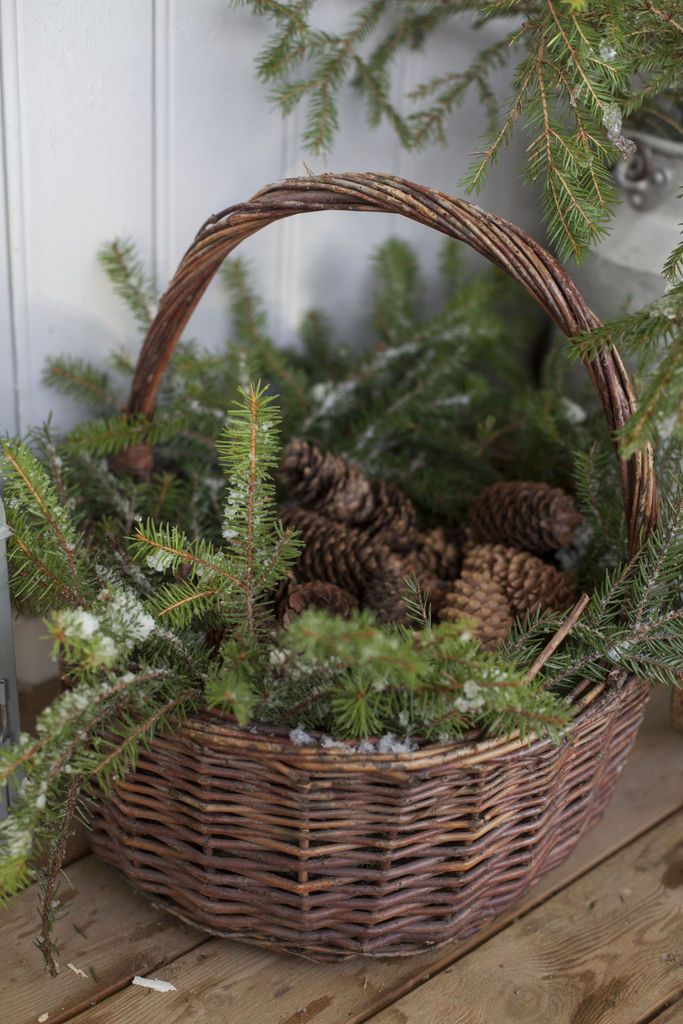 a basket filled with pine cones sitting on top of a wooden table next to evergreen branches