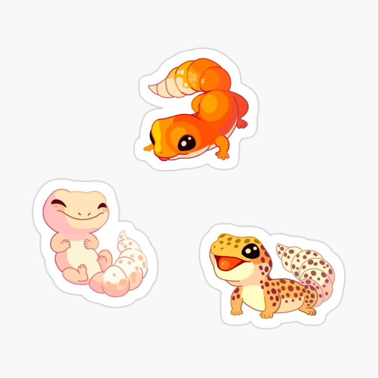 three stickers with different types of animals on them, one is orange and the other is pink