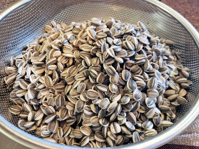 a metal bowl filled with seeds on top of a table