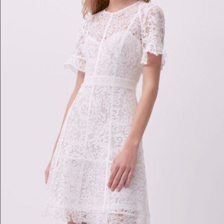 Worn Once To My Rehearsal Dinner - Soooo Many Compliments! Elegant Mini Dress With Scalloped Lace For Daywear, Elegant Scallop Lace Mini Dress For Daywear, Fitted Midi Dress With Scalloped Lace For Daywear, Fitted Scalloped Lace Midi Dress For Daywear, French Connection Dress, French Connection, Rehearsal Dinners, Lace Dress, Colorful Dresses