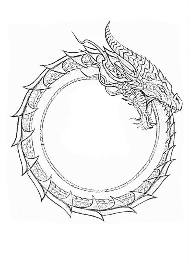 a drawing of a dragon in the middle of a circle