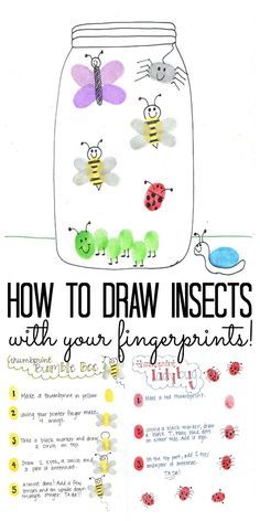 the instructions for how to draw insects in a jar