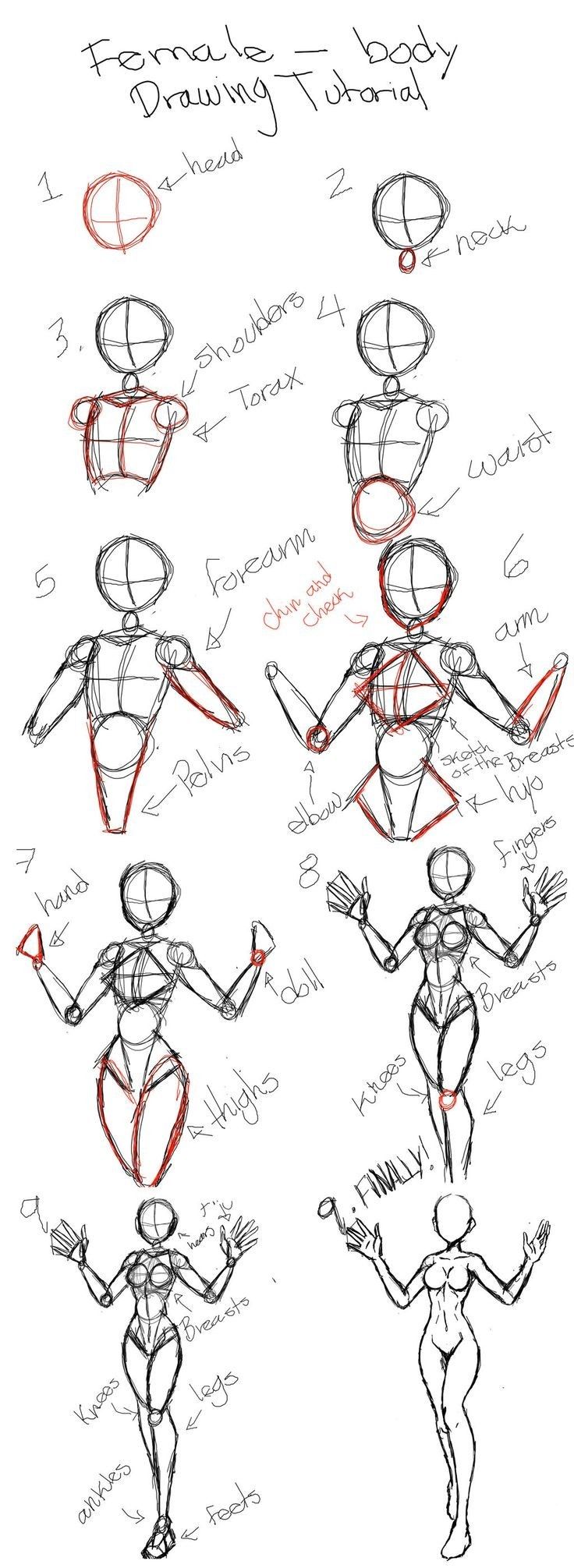 How to draw body - Dibujos de Cuerpos Humanos Reales paso a paso Manga Proportions Body Tutorial, Human Atonomy Drawing Sketch, Drawing Body Guidelines, Atonomy Drawing Human Poses, Drawing Anime Bodies Step By Step, Upper Body Tutorial Drawing, Full Body Structure Drawing, Step By Step Body Tutorial, Female Proportions Drawing