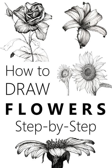 how to draw flowers step by step