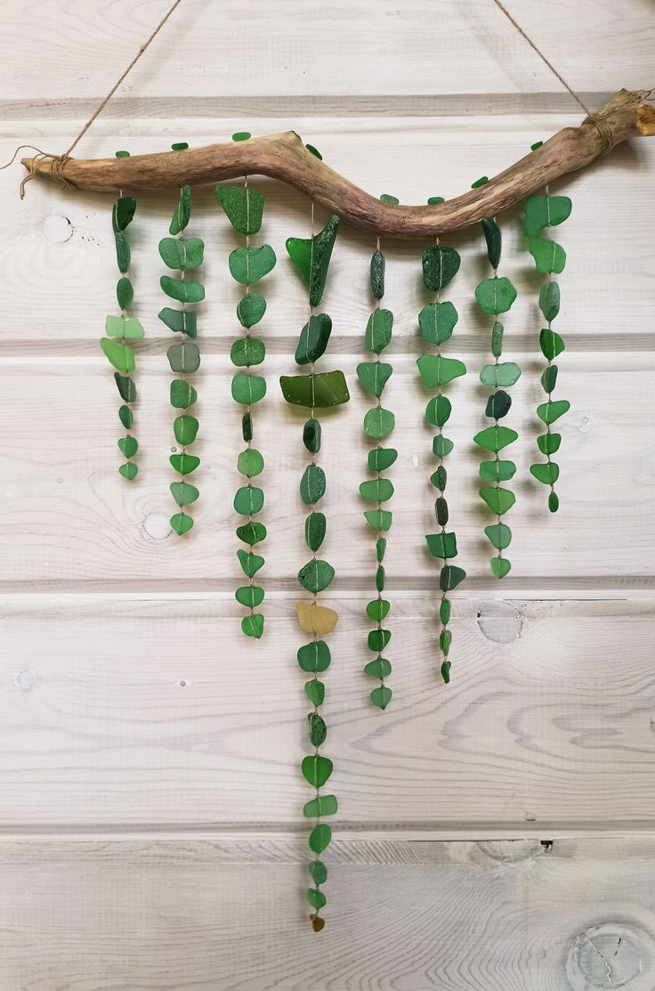 a branch with green leaves hanging from it's side on a white wooden wall