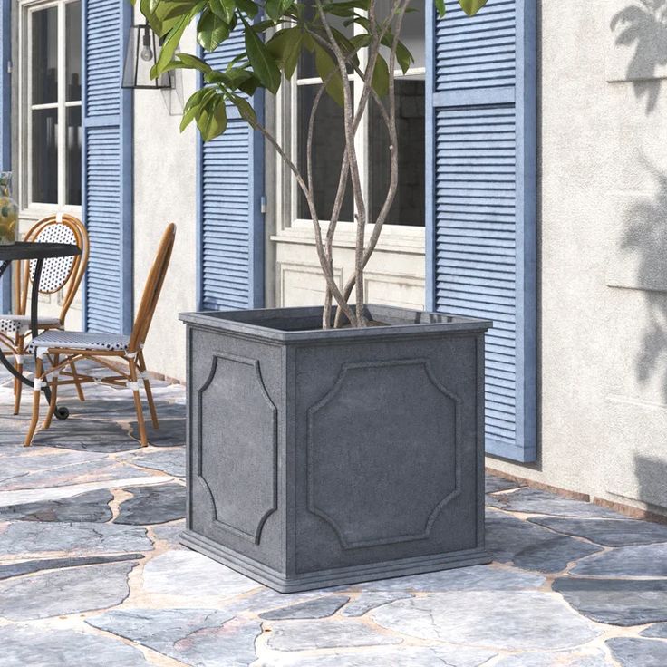 a potted plant sitting on top of a stone patio