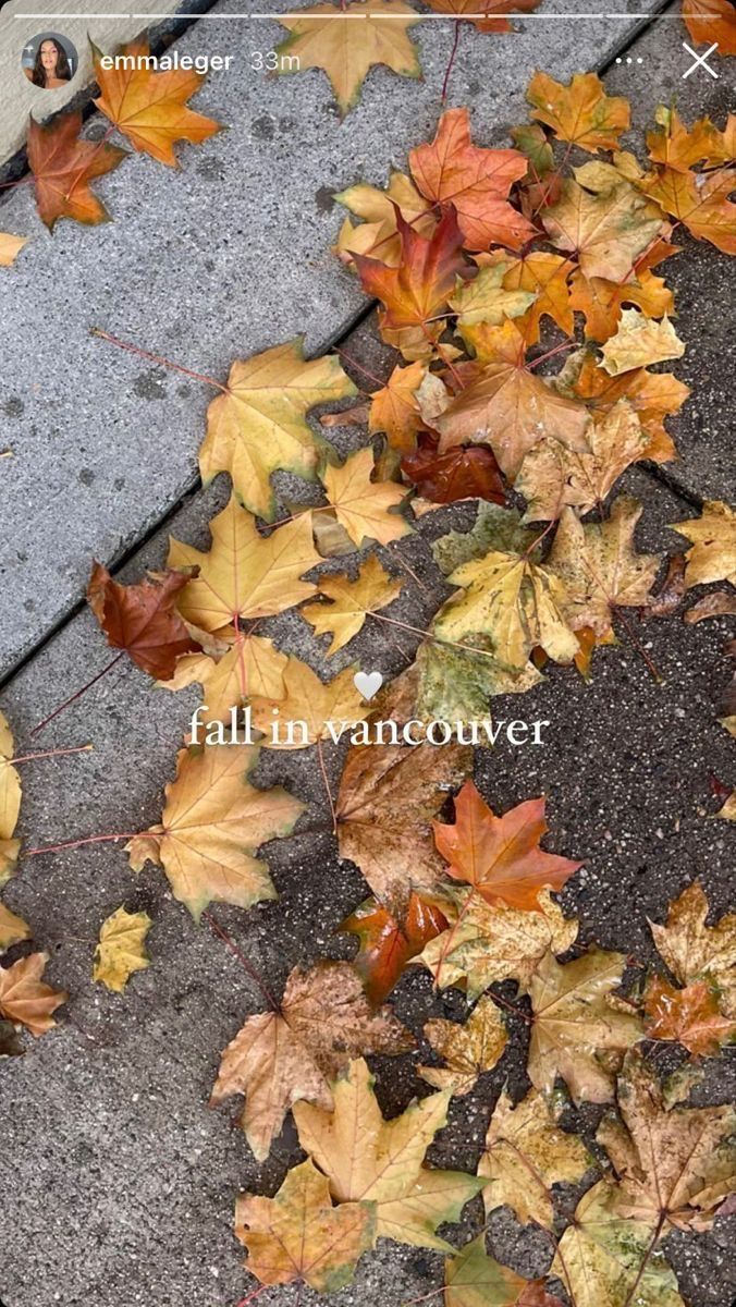 an image of fall leaves laying on the ground in front of a sidewalk with text that reads fall in vancouver