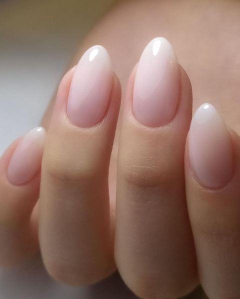 Ombré French Tip Oval, Dip Nails Round Shape, Short Oval Ombre Acrylic Nails, French Ombre Oval Nails, Ombré Light Pink Nails, Dip With A Tip Nails, French Ombre Nails Oval Short, Natural Ombre Almond Nails, Ombre French Round Nails