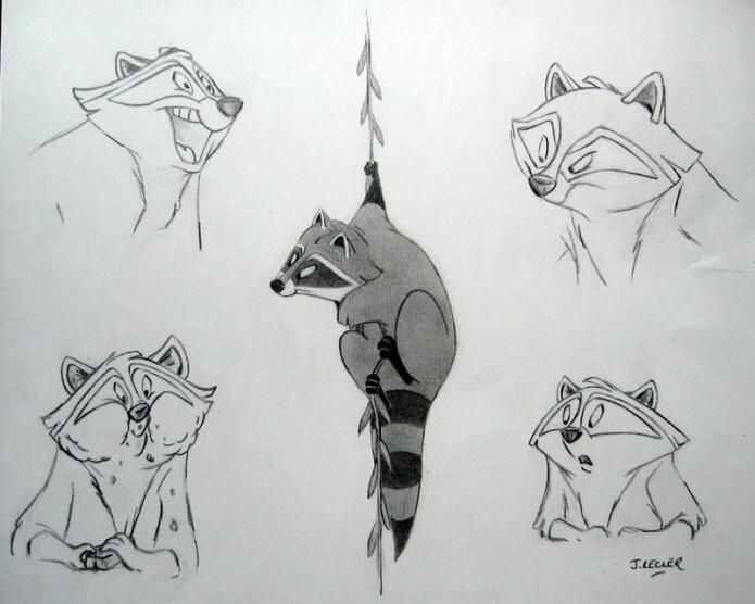 four different types of raccoons are depicted in this drawing