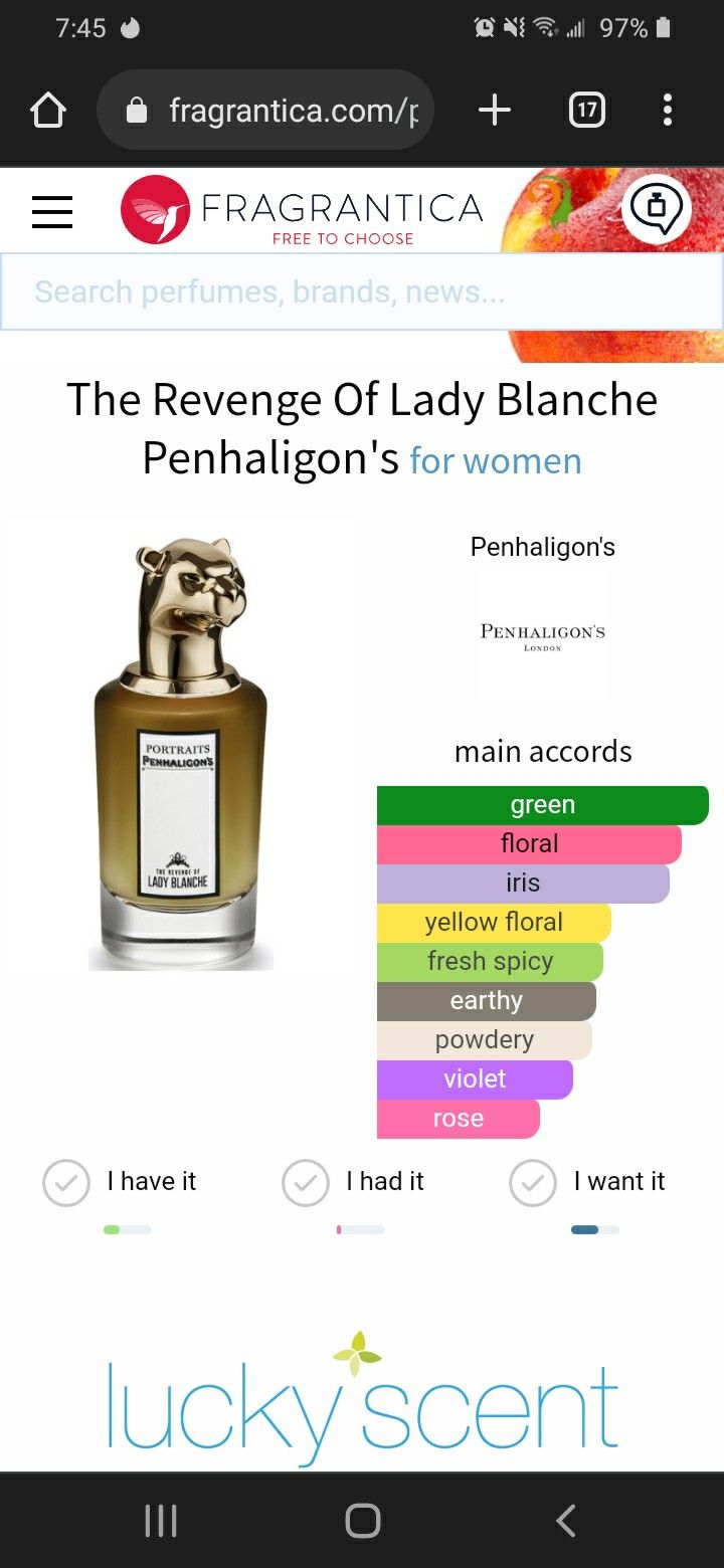 Perfume Suggestions, The Revenge, Yellow Floral, Revenge, Aromatherapy, Floral