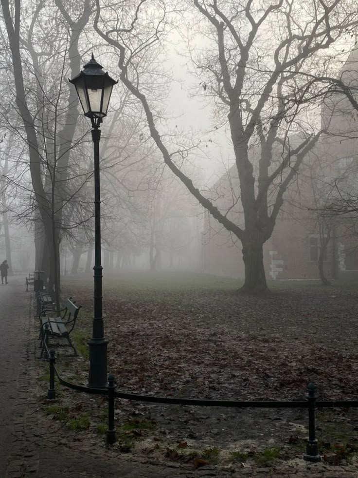 a foggy park with benches and trees