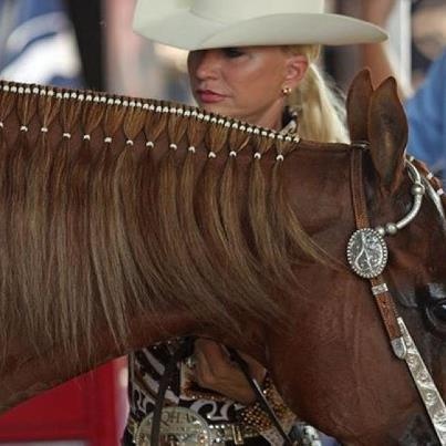 a woman wearing a cowboy hat is sitting on a horse in an arena with other people