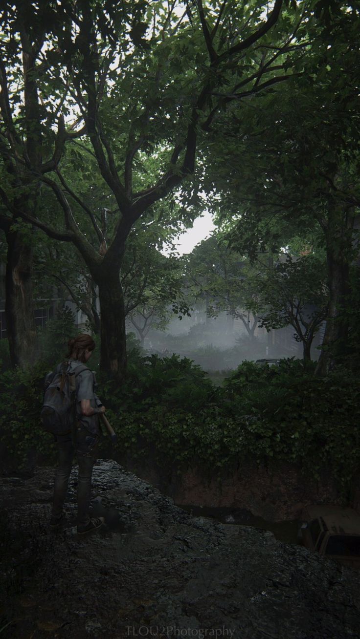 two people are walking through the woods on a foggy day