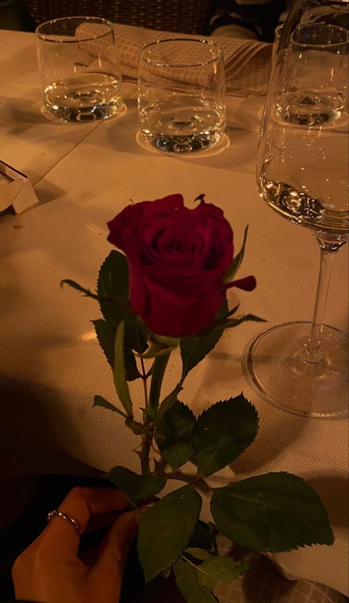 a person holding a rose in their hand at a table with wine glasses on it